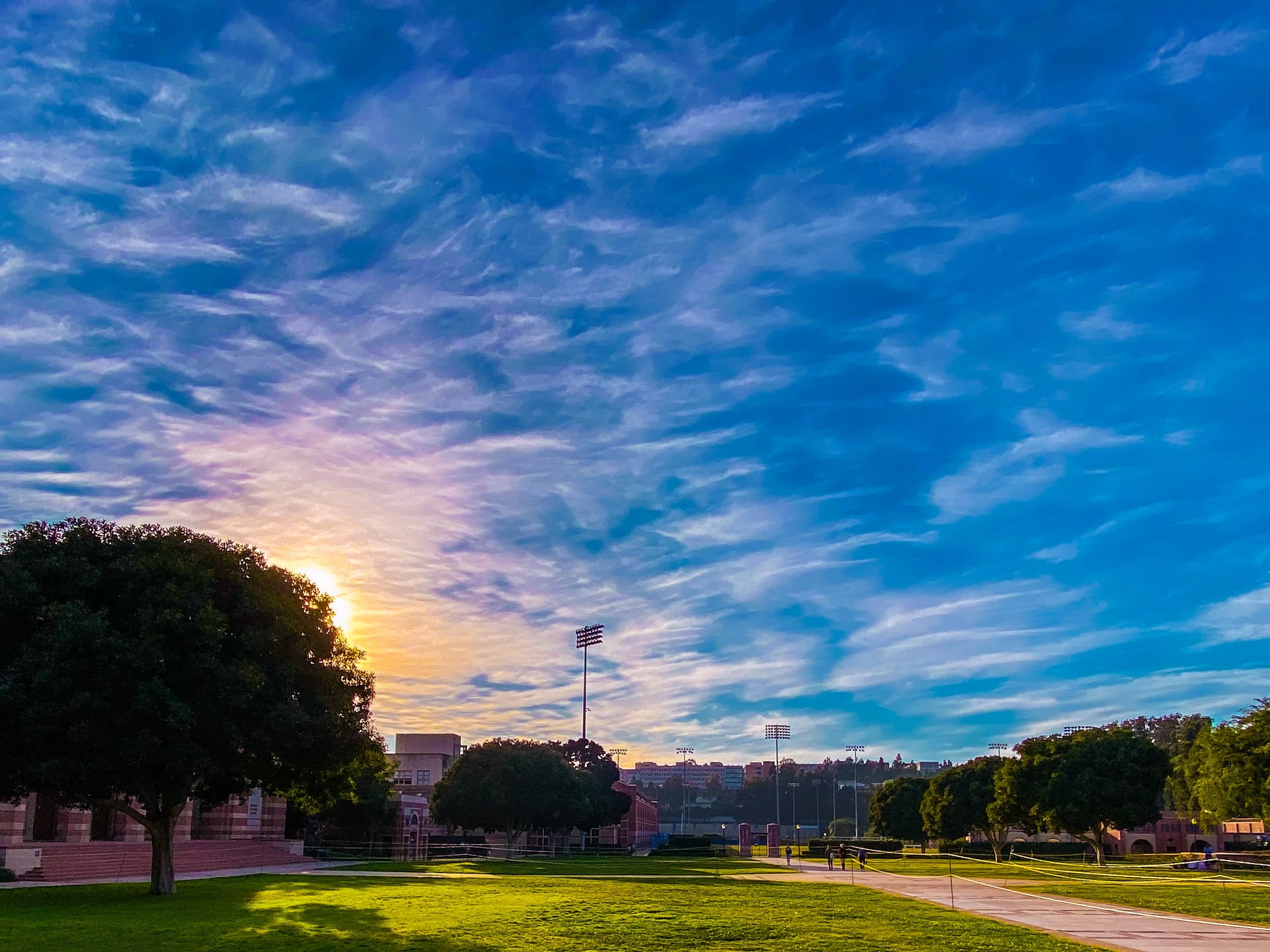 UCLA_SUNSET_Wilson Plaza_1.jpg