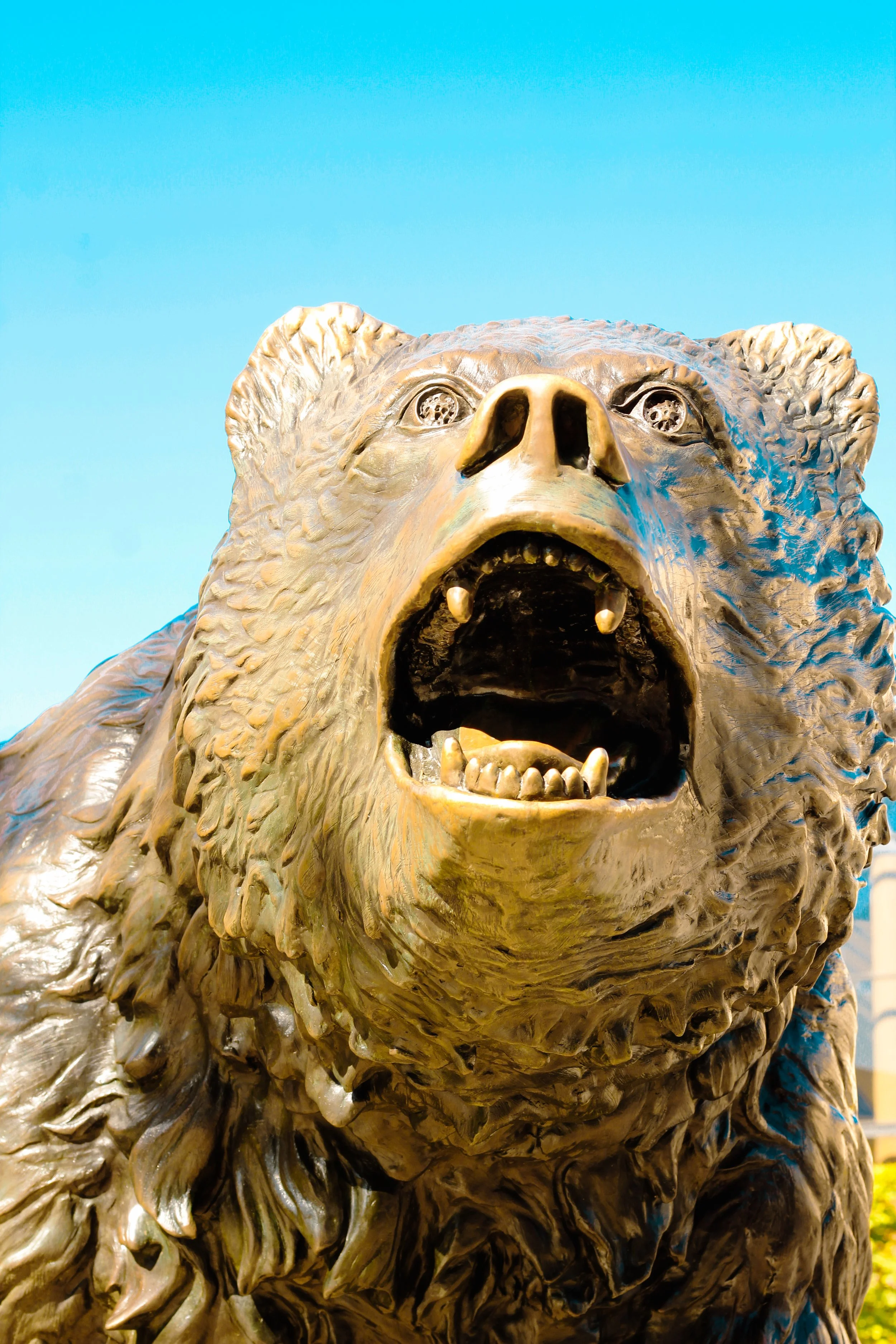 UCLA