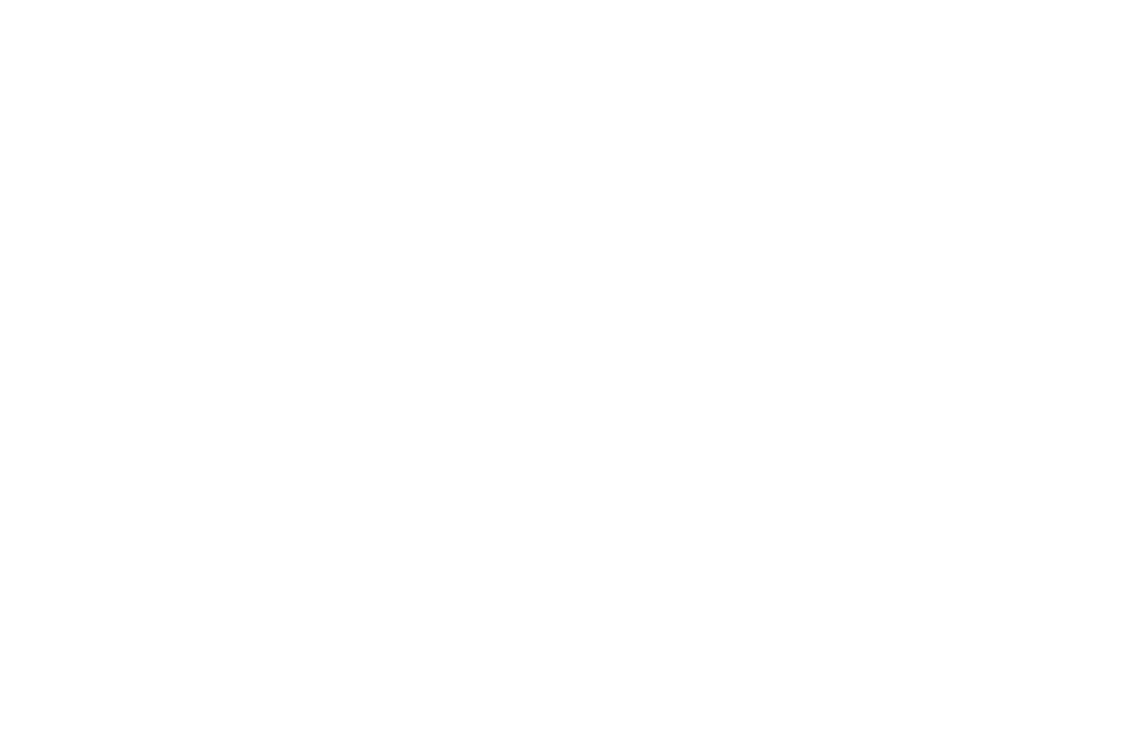 Avista.png