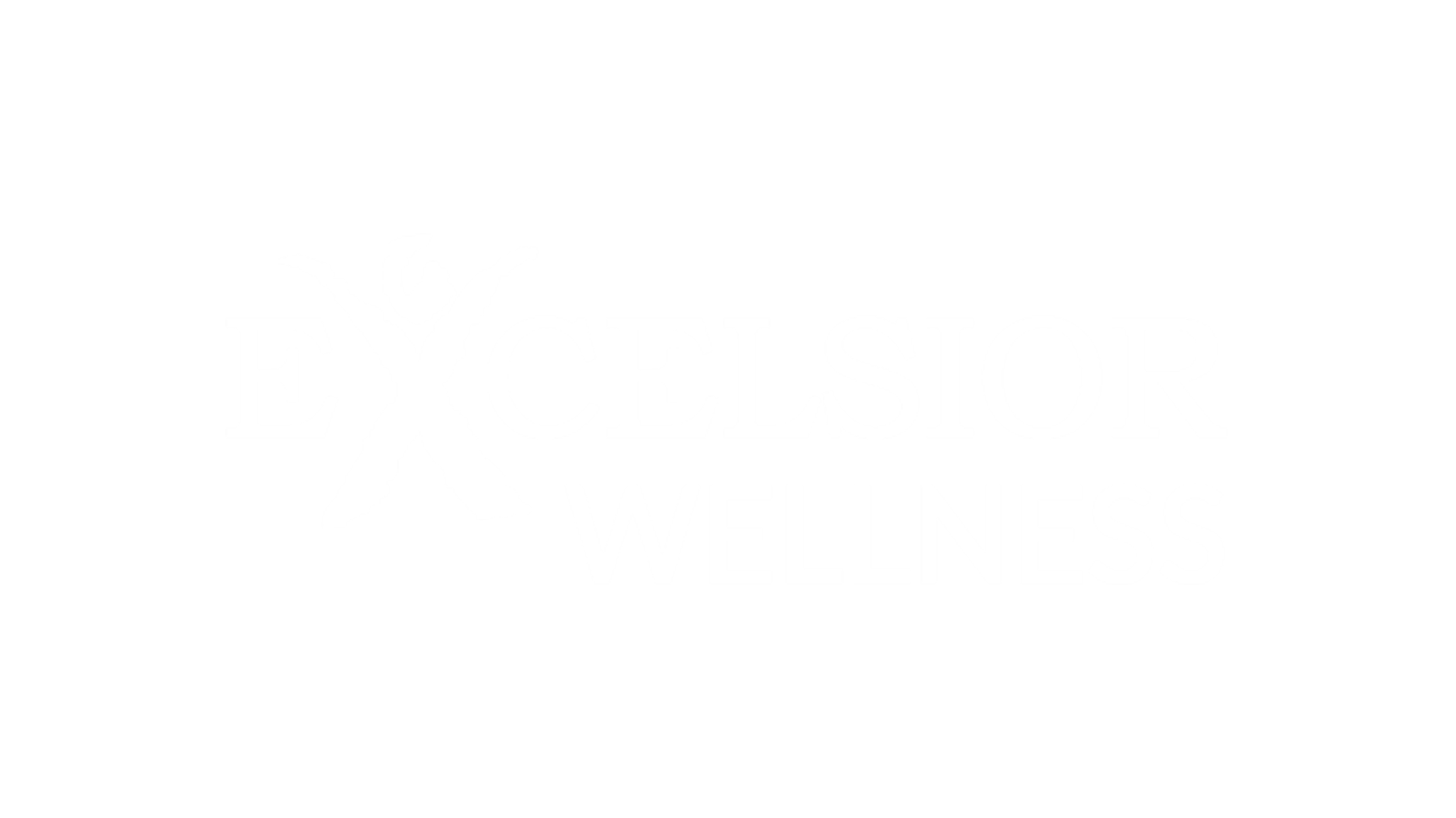 Excelcire.png