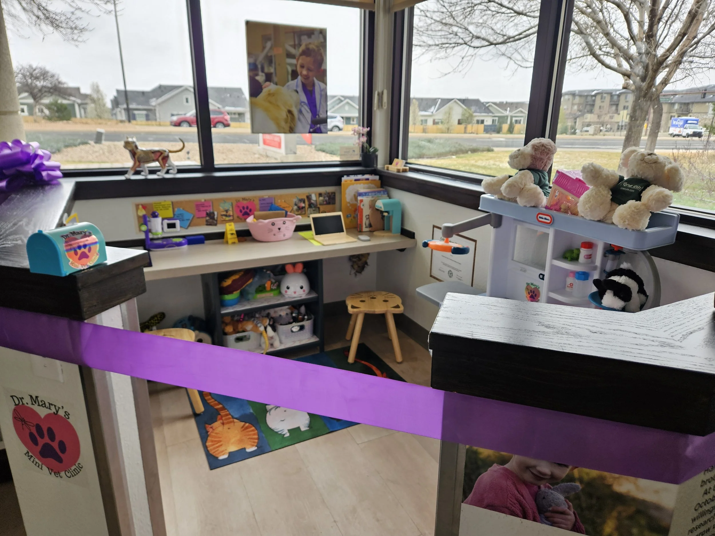 Dr. Mary's Mini Vet Clinic Opening- Community Pet Hospital- April 2025