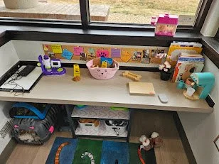 Dr. Mary's Mini Vet Clinic Opening- Community Pet Hospital- April 2025