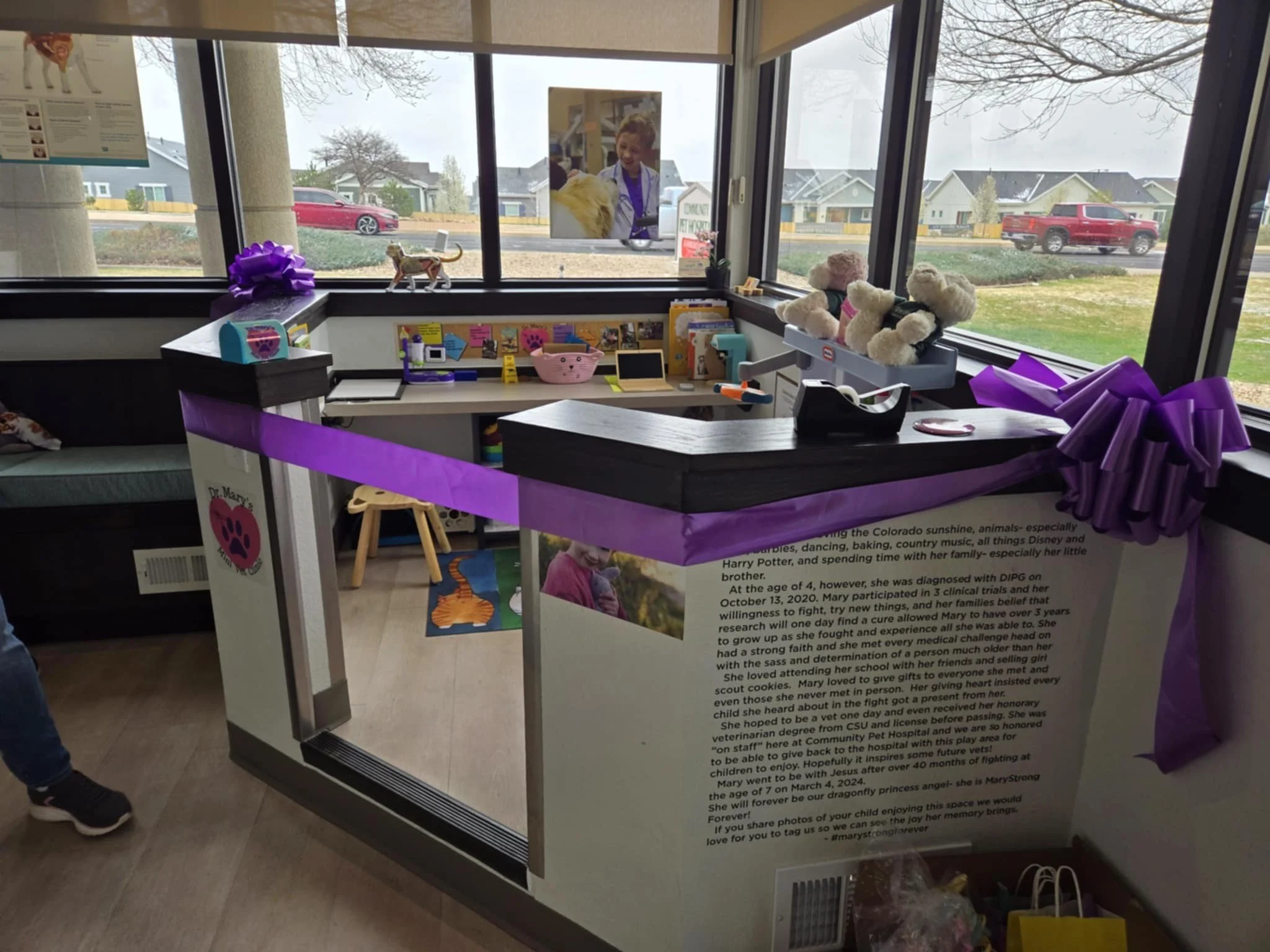 Dr. Mary's Mini Vet Clinic Opening- Community Pet Hospital- April 2025