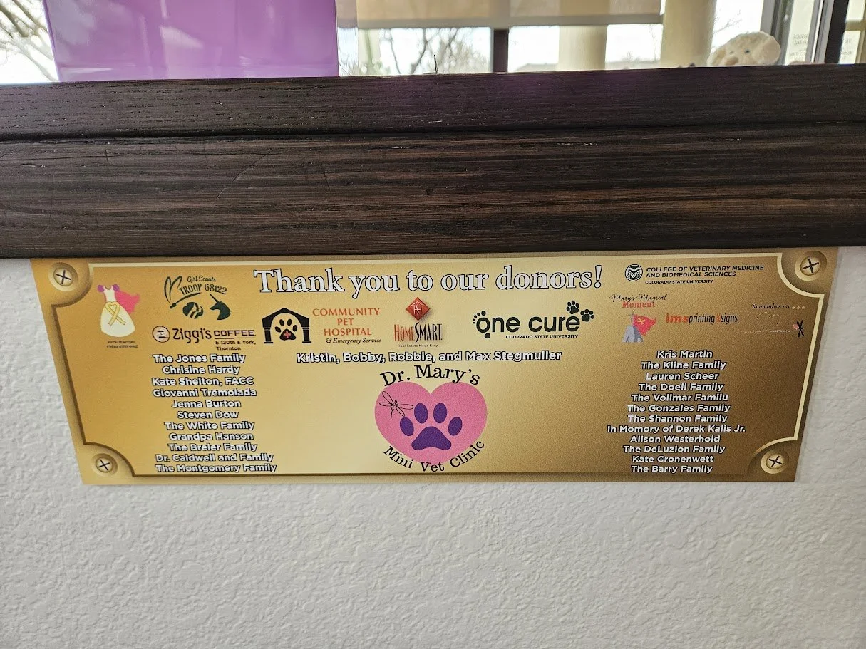Dr. Mary's Mini Vet Clinic Opening- Community Pet Hospital- April 2025