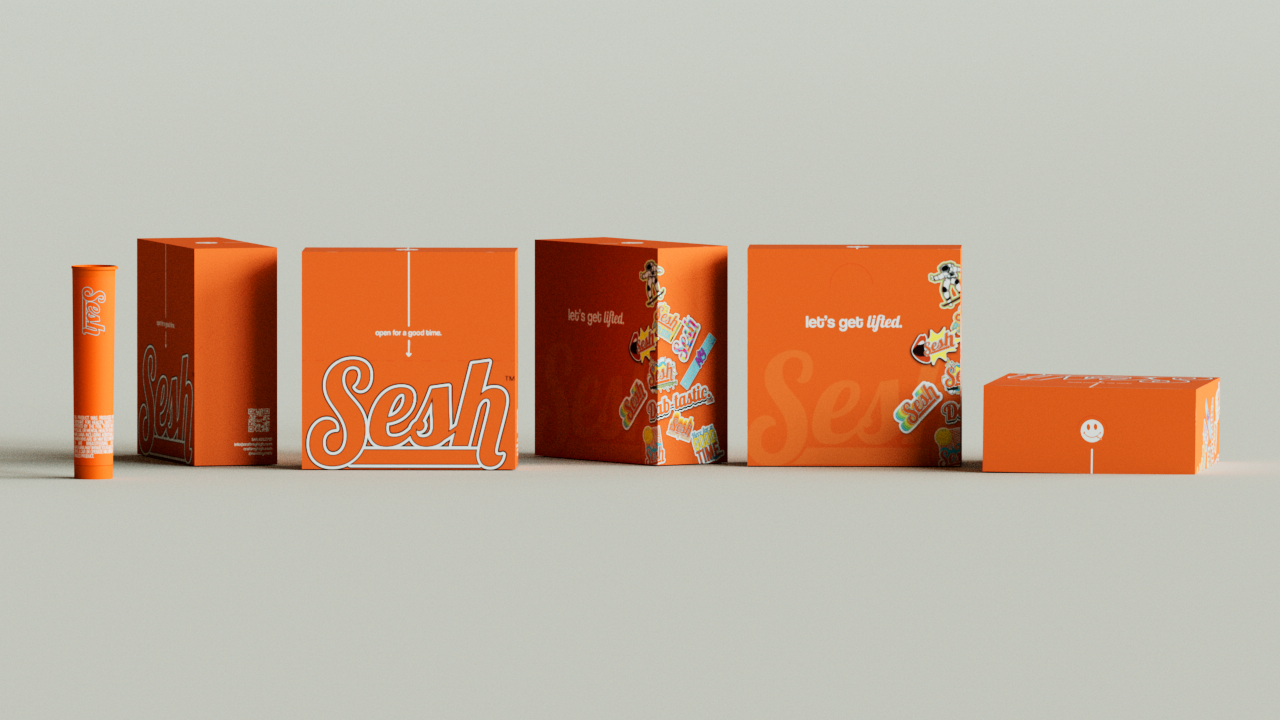 sesh 10 box mock.png