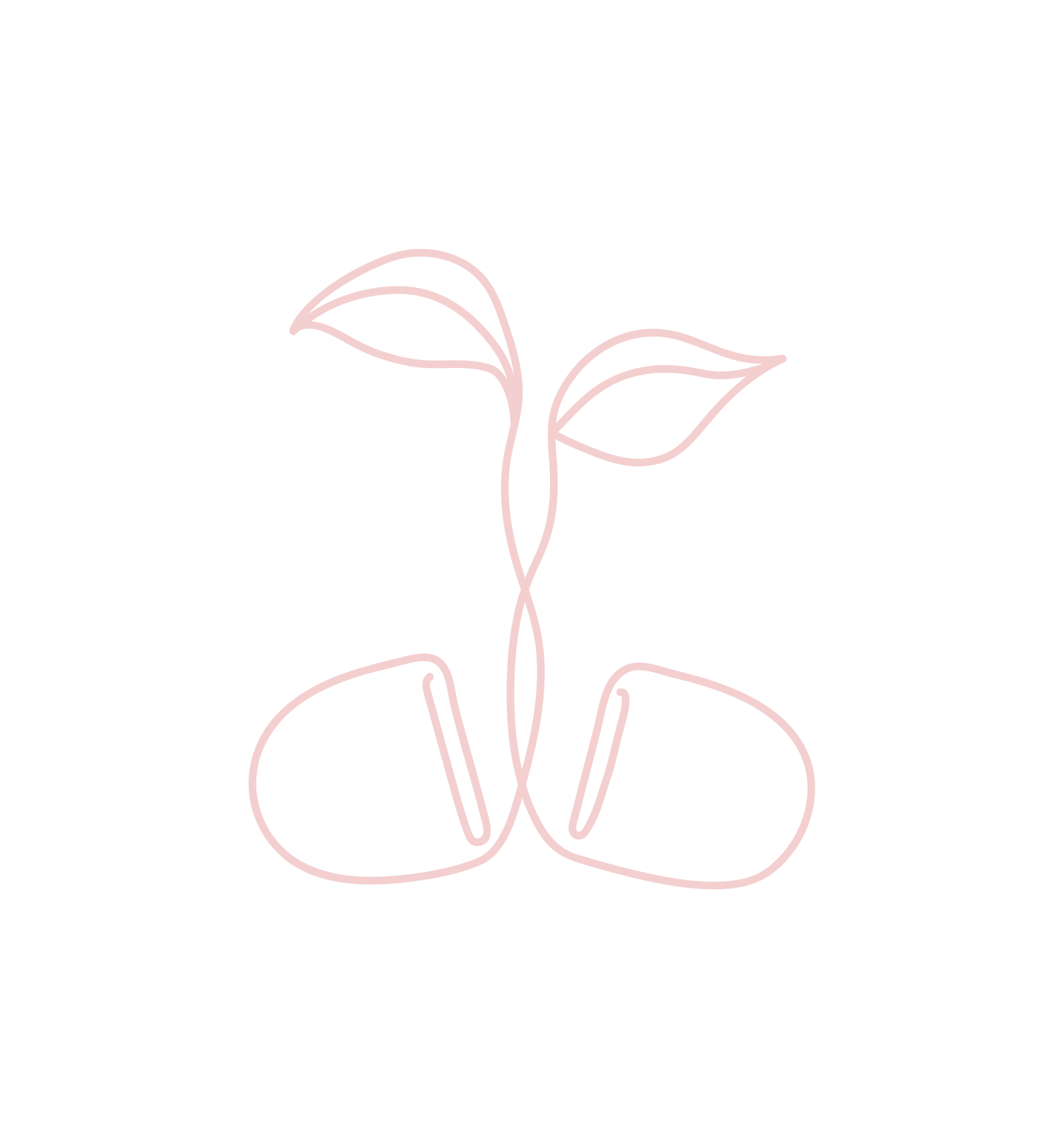 Minimalist line drawing of a sprouting plant with two leaves and a stem growing from two seeds.