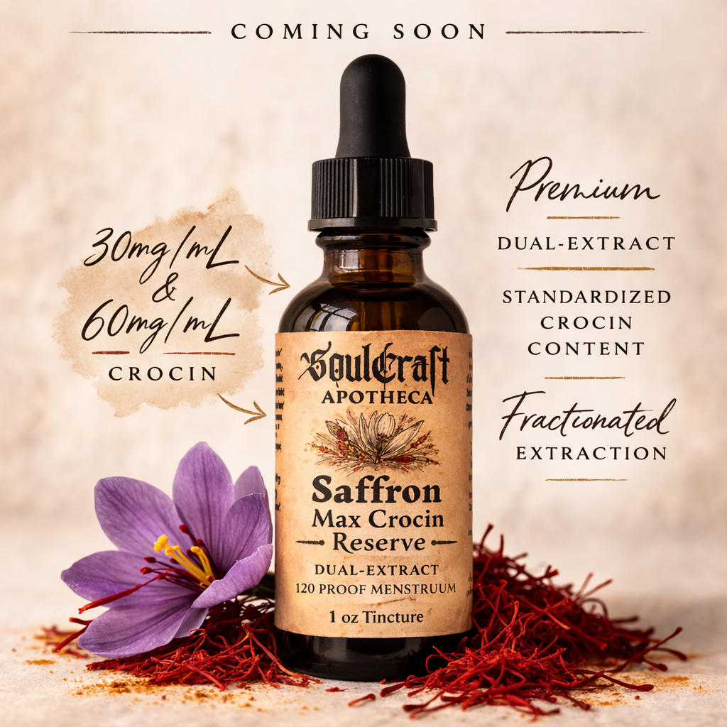 ChatGPT Image Feb 28, 2026, 05_50_12 PM.png