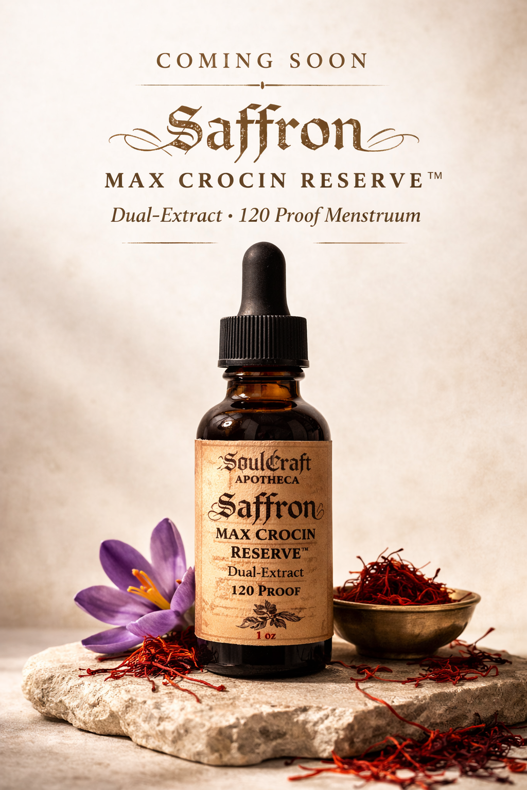 ChatGPT Image Feb 28, 2026, 05_50_03 PM.png