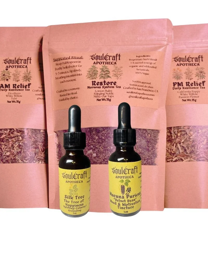 Starter Pack B - Wholesale Ritual & Botanical Extract Bundle