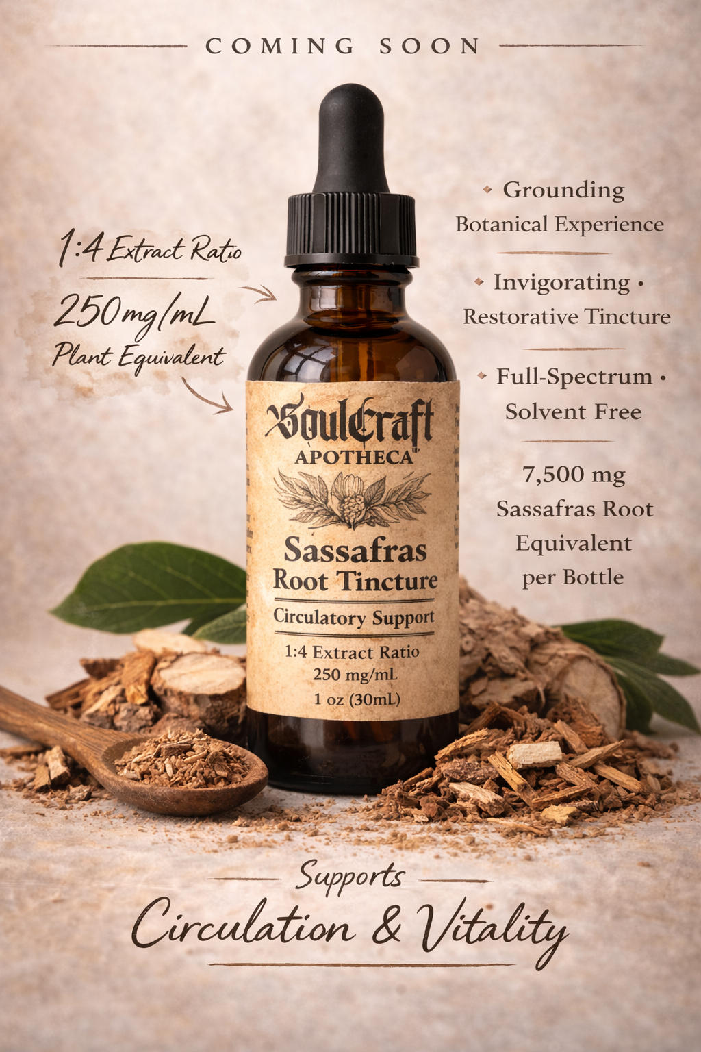 ChatGPT Image Feb 28, 2026, 06_29_49 PM.png