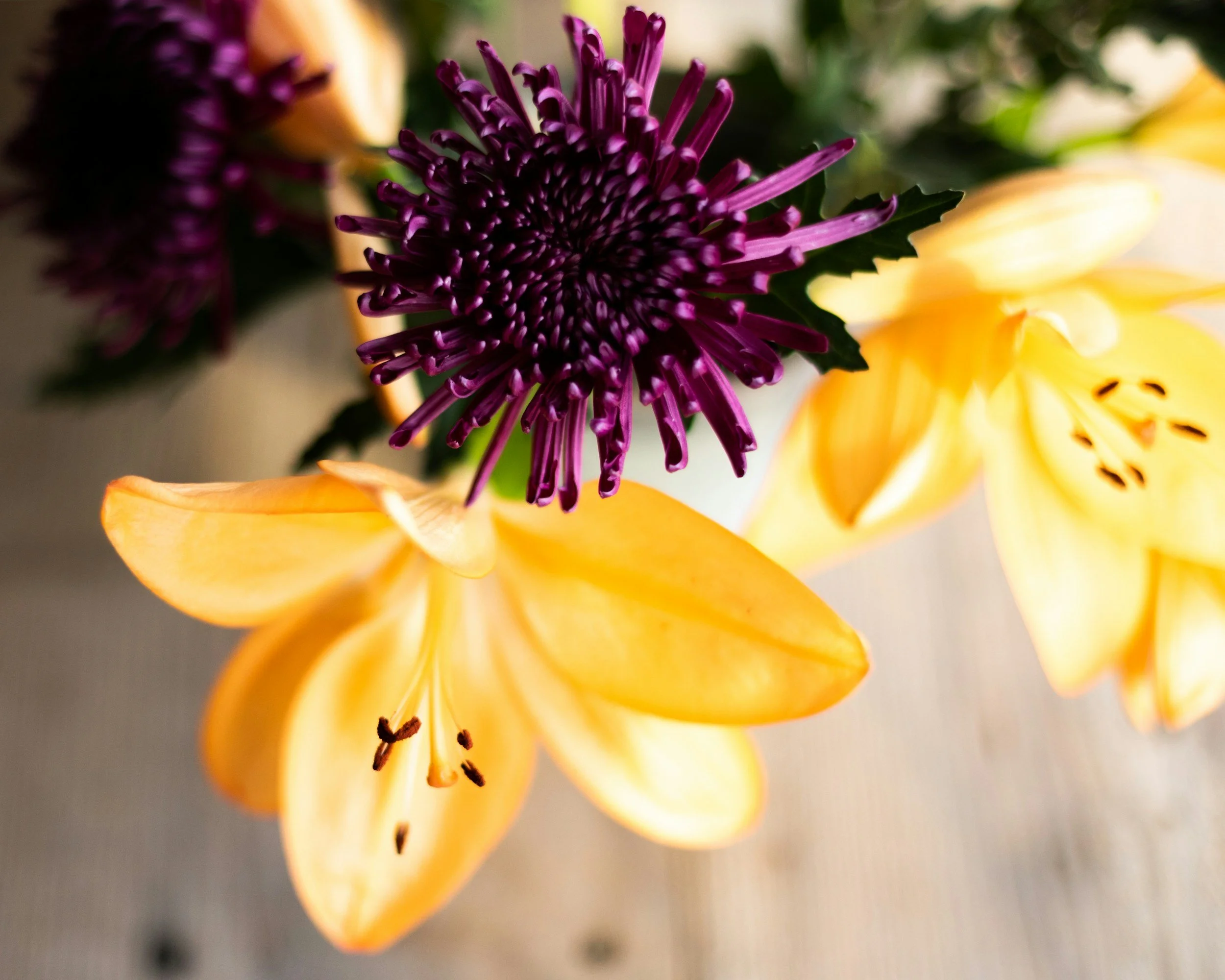 Reclaim Reflections: The Cost of Perfect