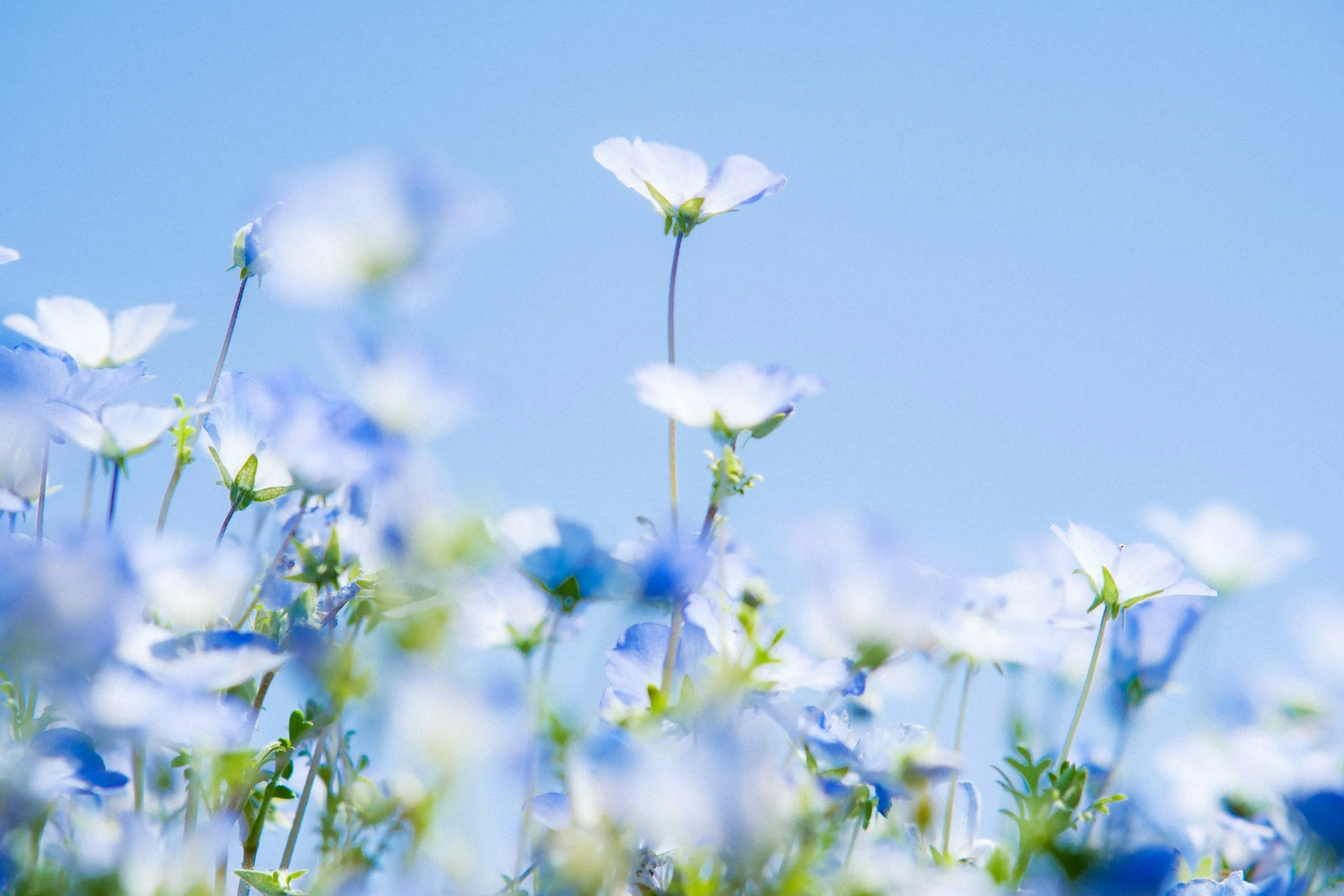 The Part of Nervous System Healing No One Talks About