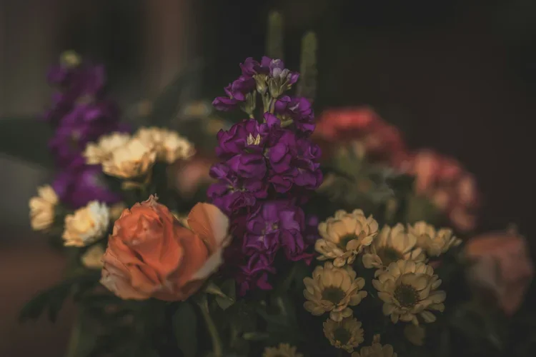 Reclaim Reflections: A Letter to Sensitive Souls