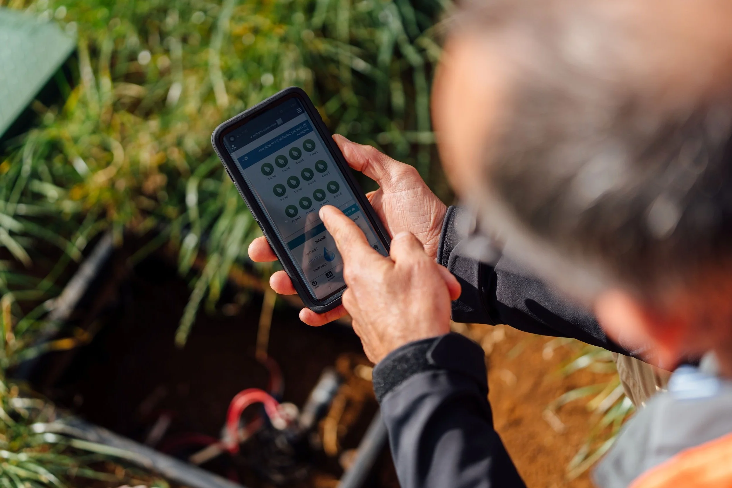A person using a smartphone outdoors near grass.