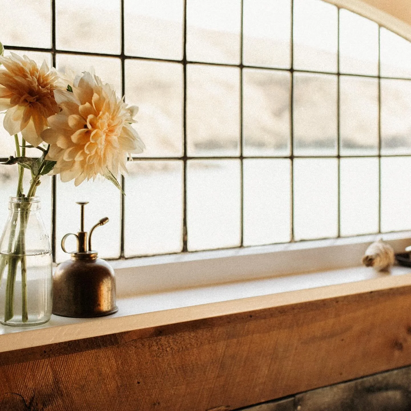 I like to call @lauriemarechalphotography &lsquo;the light whisperer&rsquo;. 😌