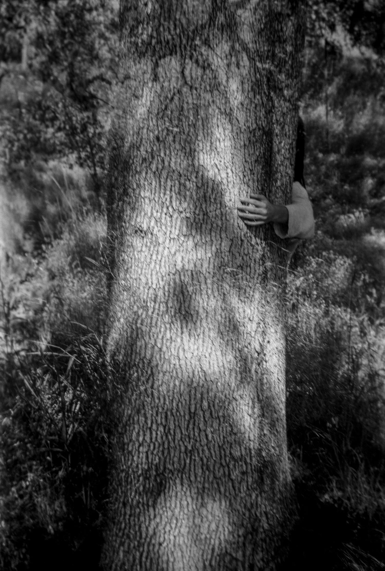 marionfaymonville-18.jpg