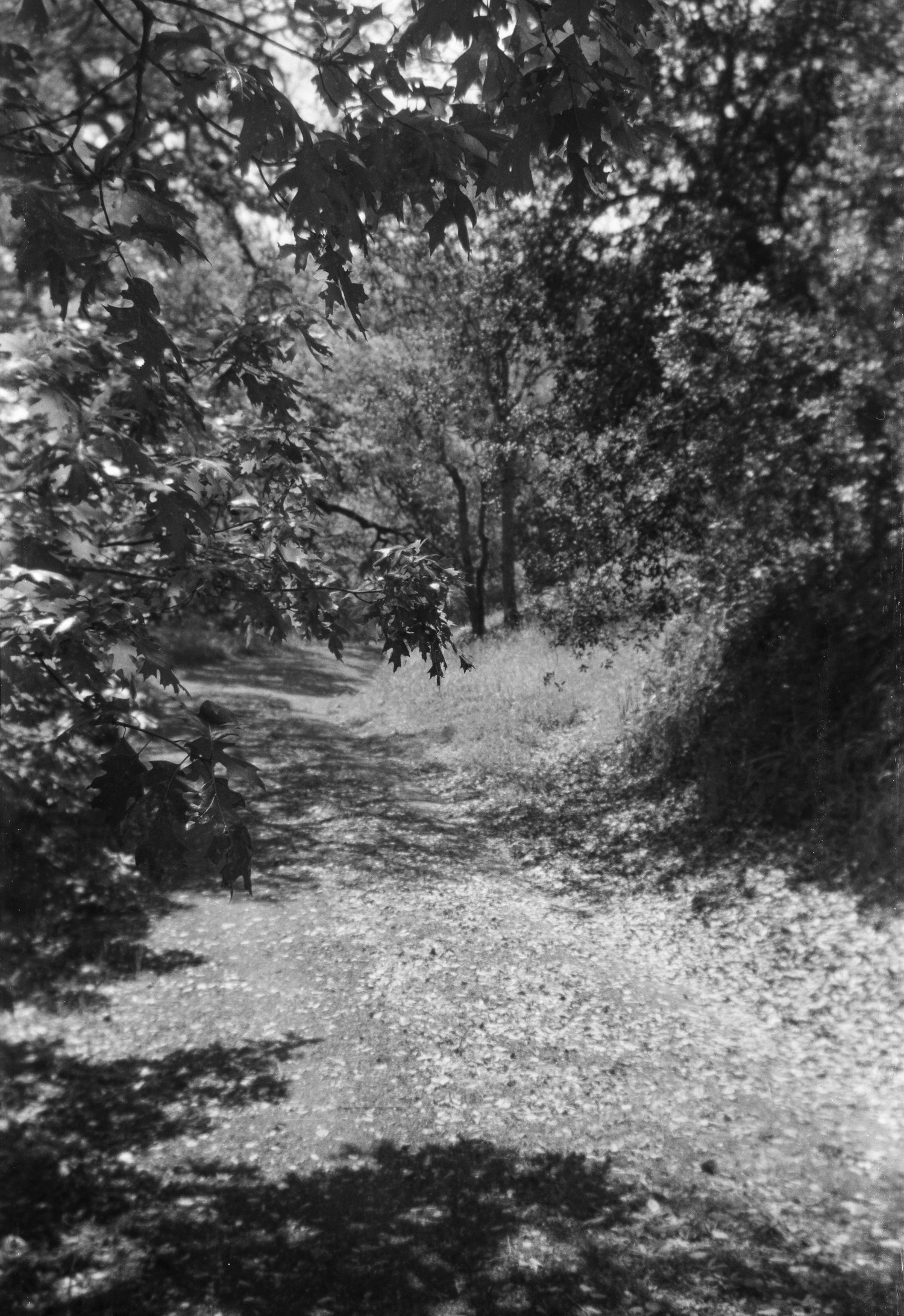 marionfaymonville-10.jpg