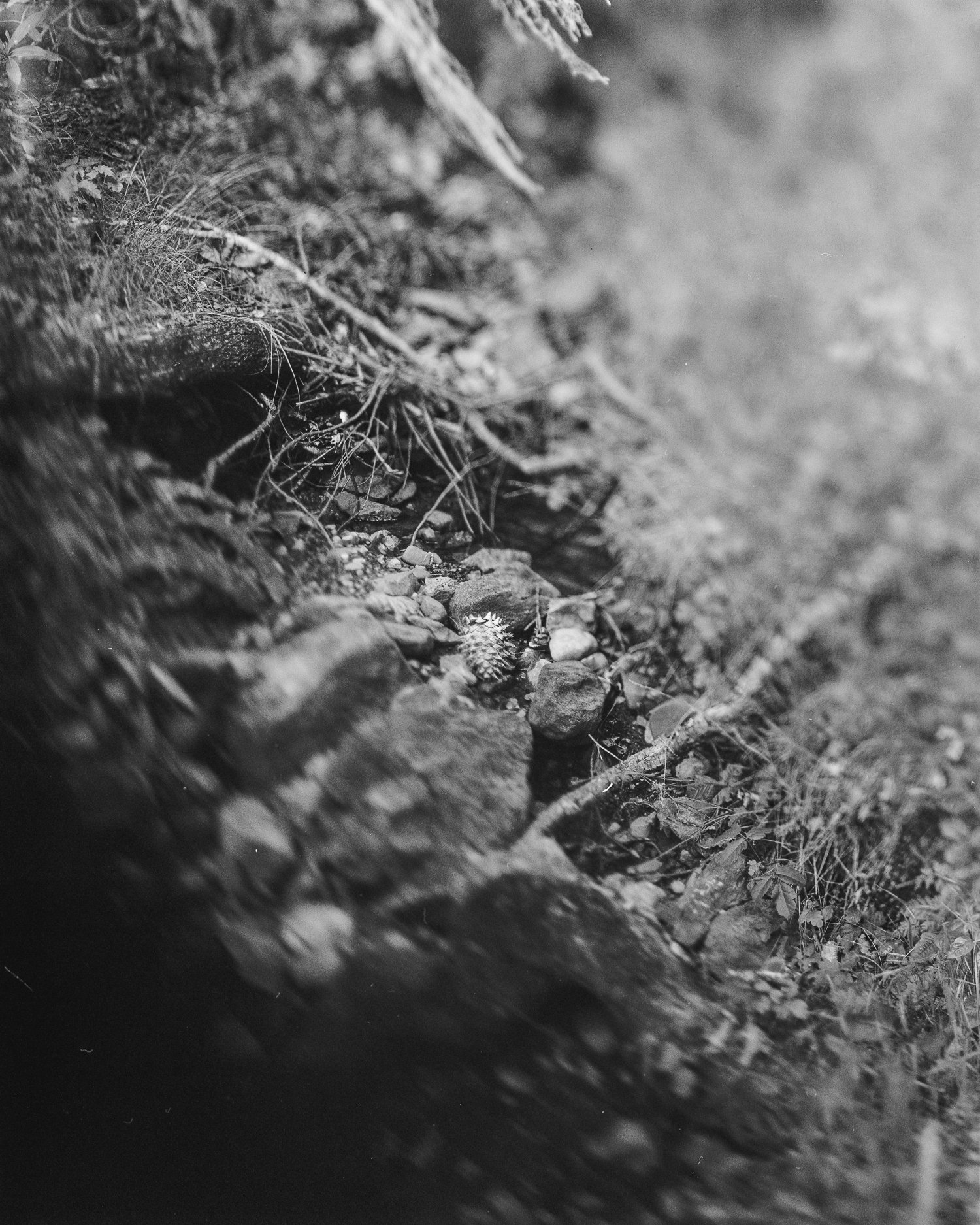 marionfaymonville-5.jpg