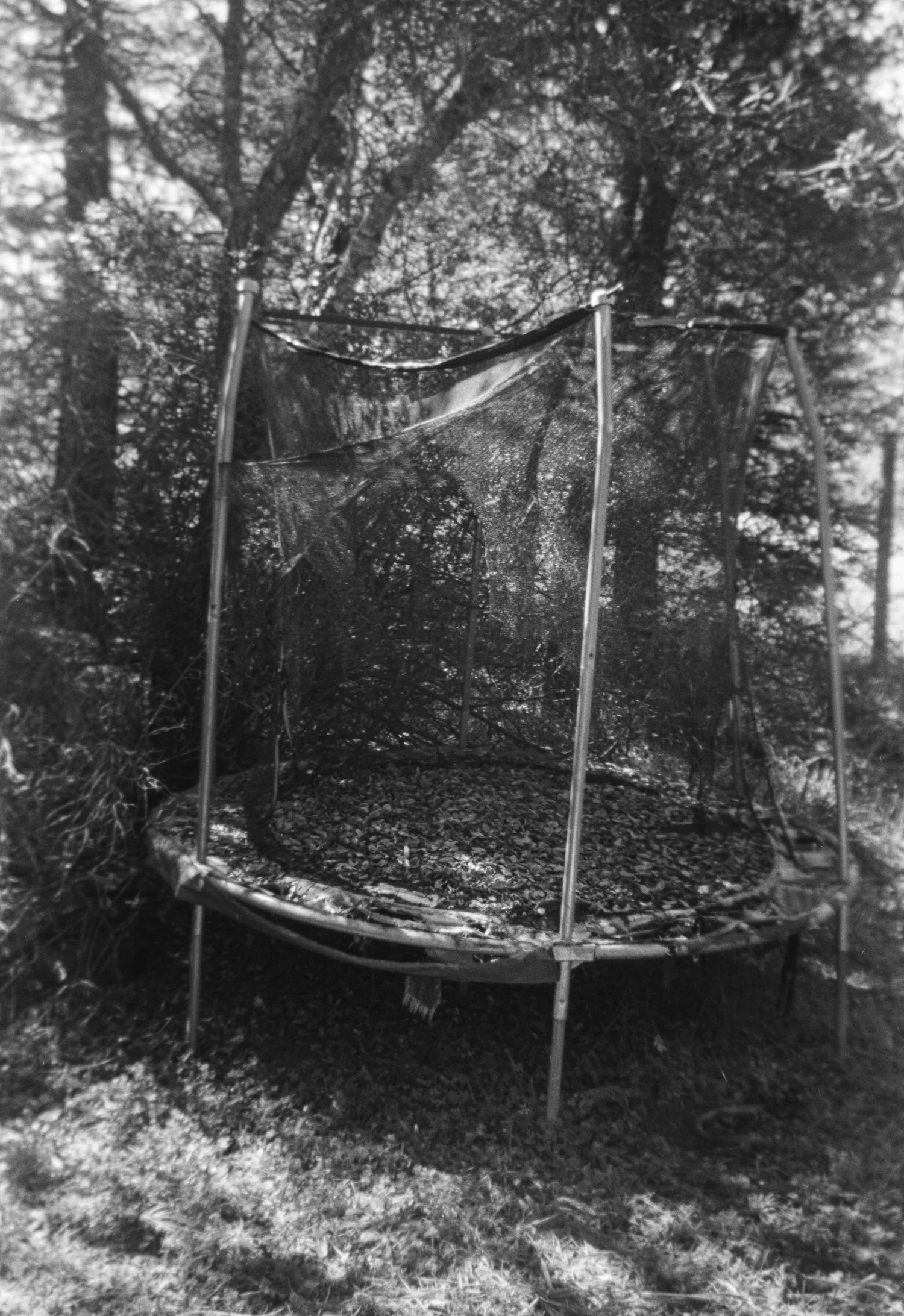marionfaymonville-17.jpg