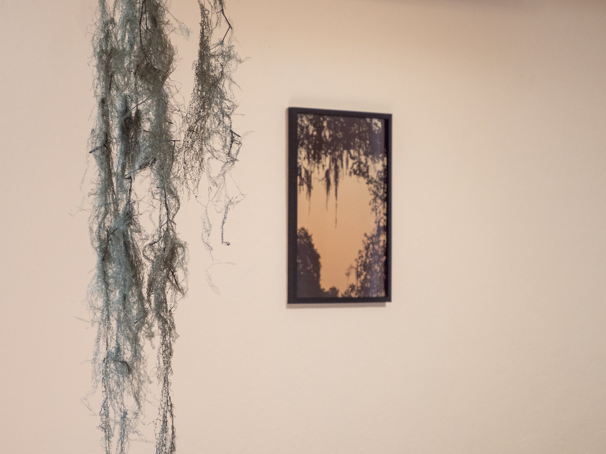 BR installation-4.jpg