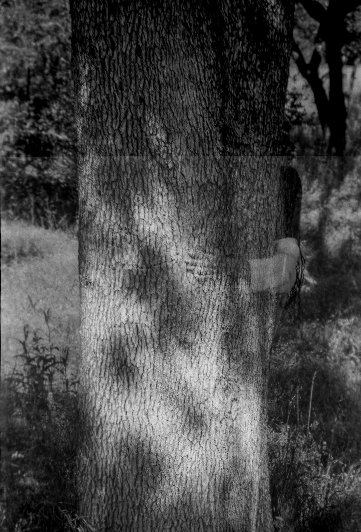 marionfaymonville-12.jpg