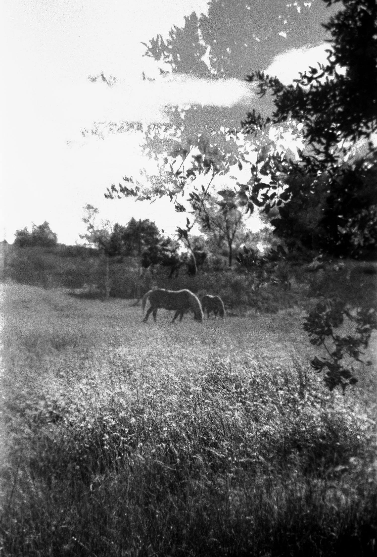 marionfaymonville-11.jpg