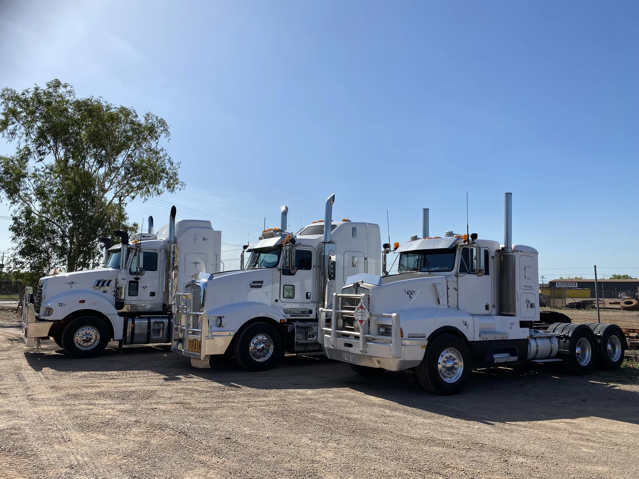 Three white semi-trucks parked on dirt lot next to a tree on a sunny day.