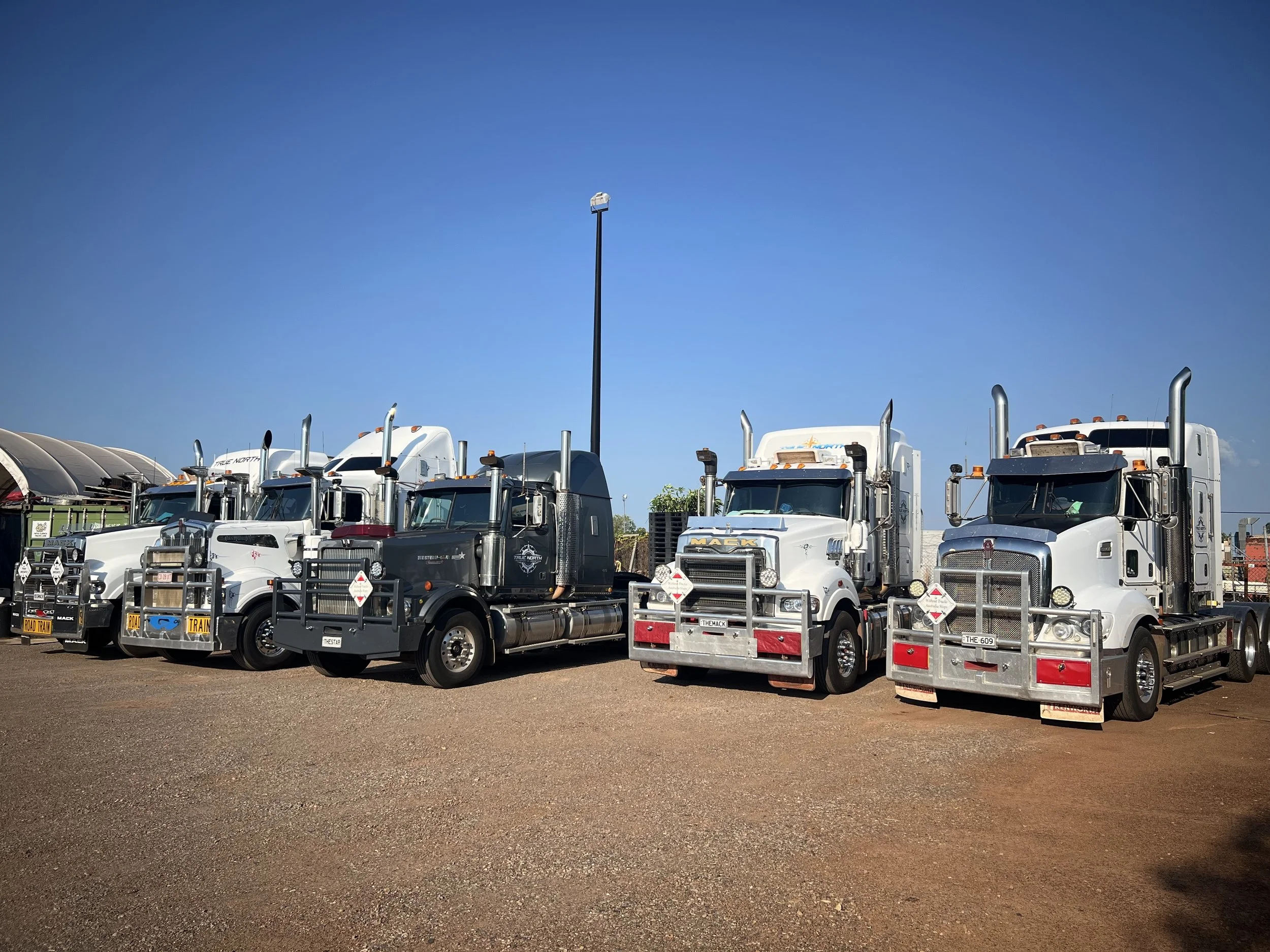 Line of semi-trucks parked on a gravel lot under a clear blue sky.