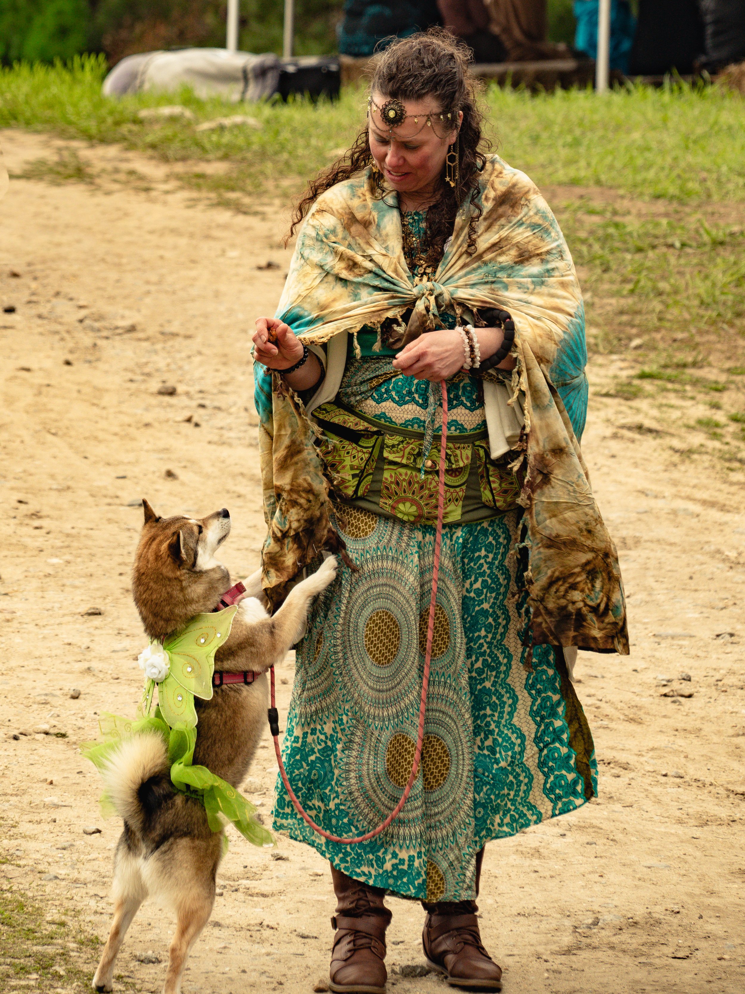 Dogs-20.jpg