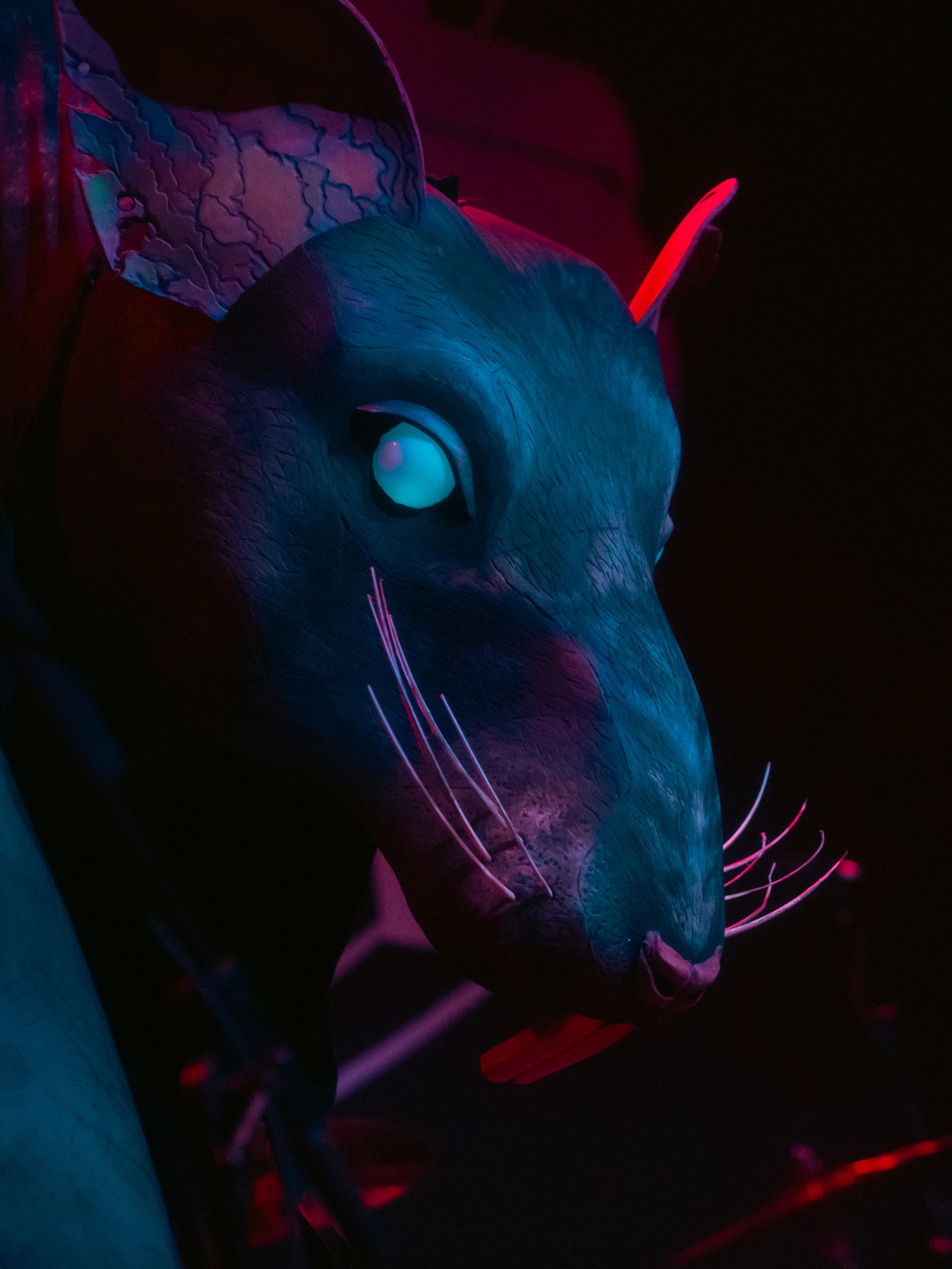 Untitled-1.jpg