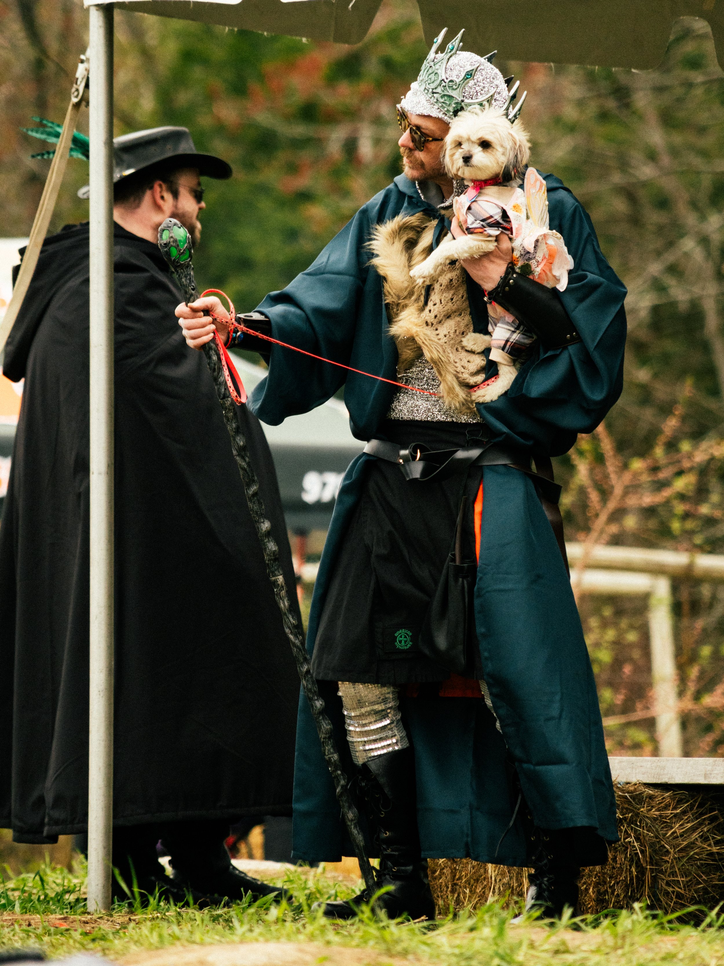 Dogs-25.jpg