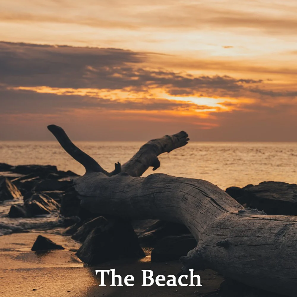 Beach and Shore