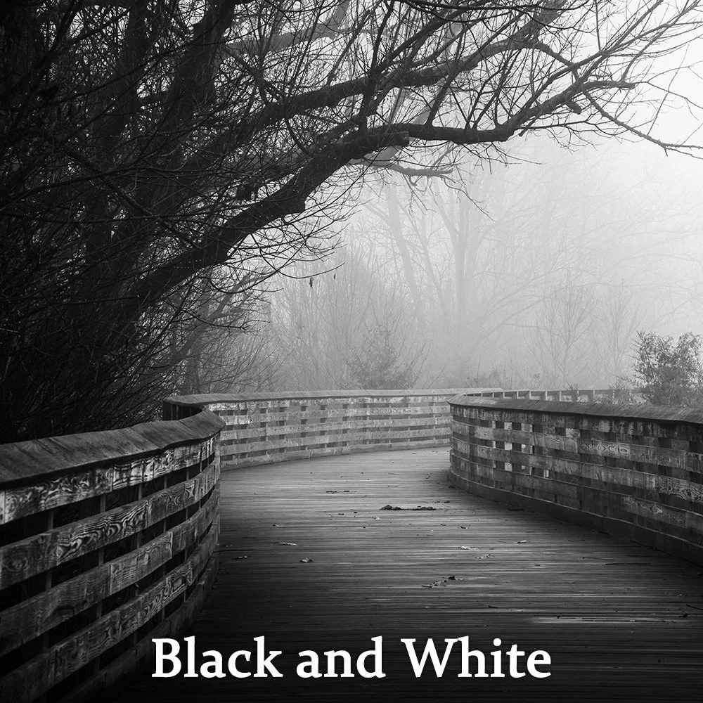 Black and White