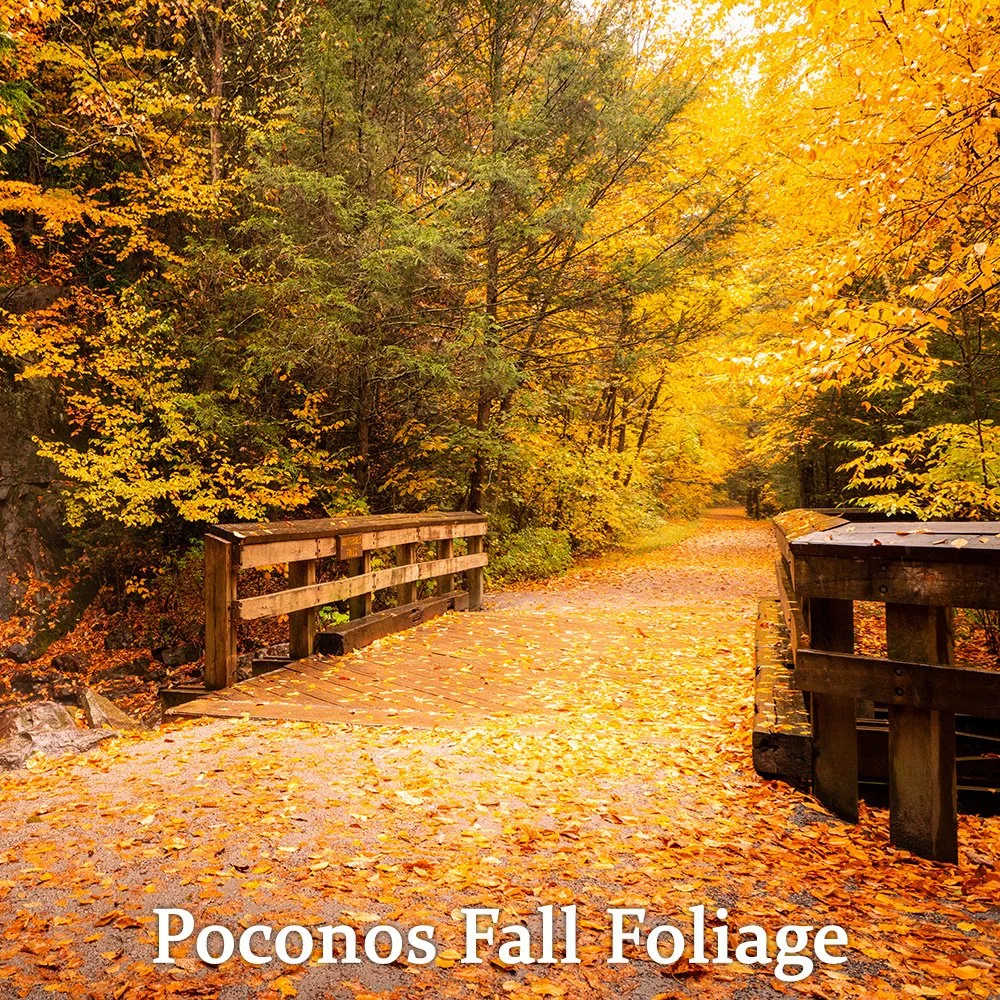 Poconos Fall Foliage