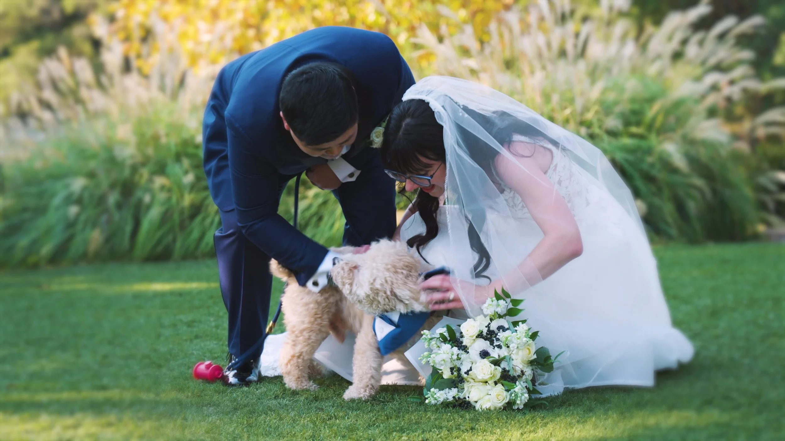 Rosenbusch Wedding - Doggie.jpg