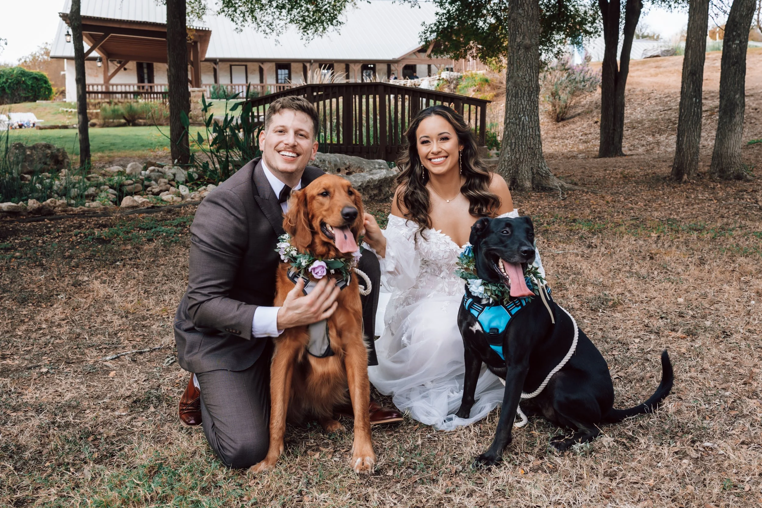 A smiling bride and groom posing outdoors with their two service dogs, in a park-like setting with trees and a building in the background.