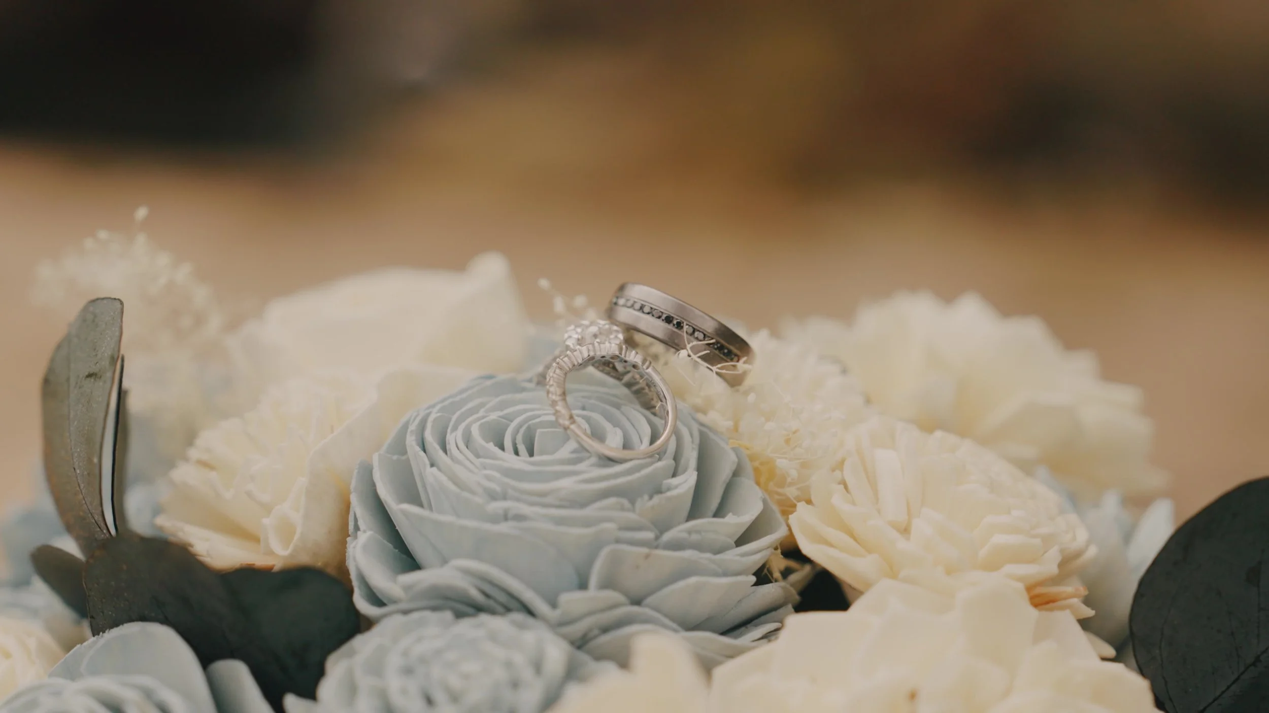 Fredenthal Wedding - The Rings.jpg