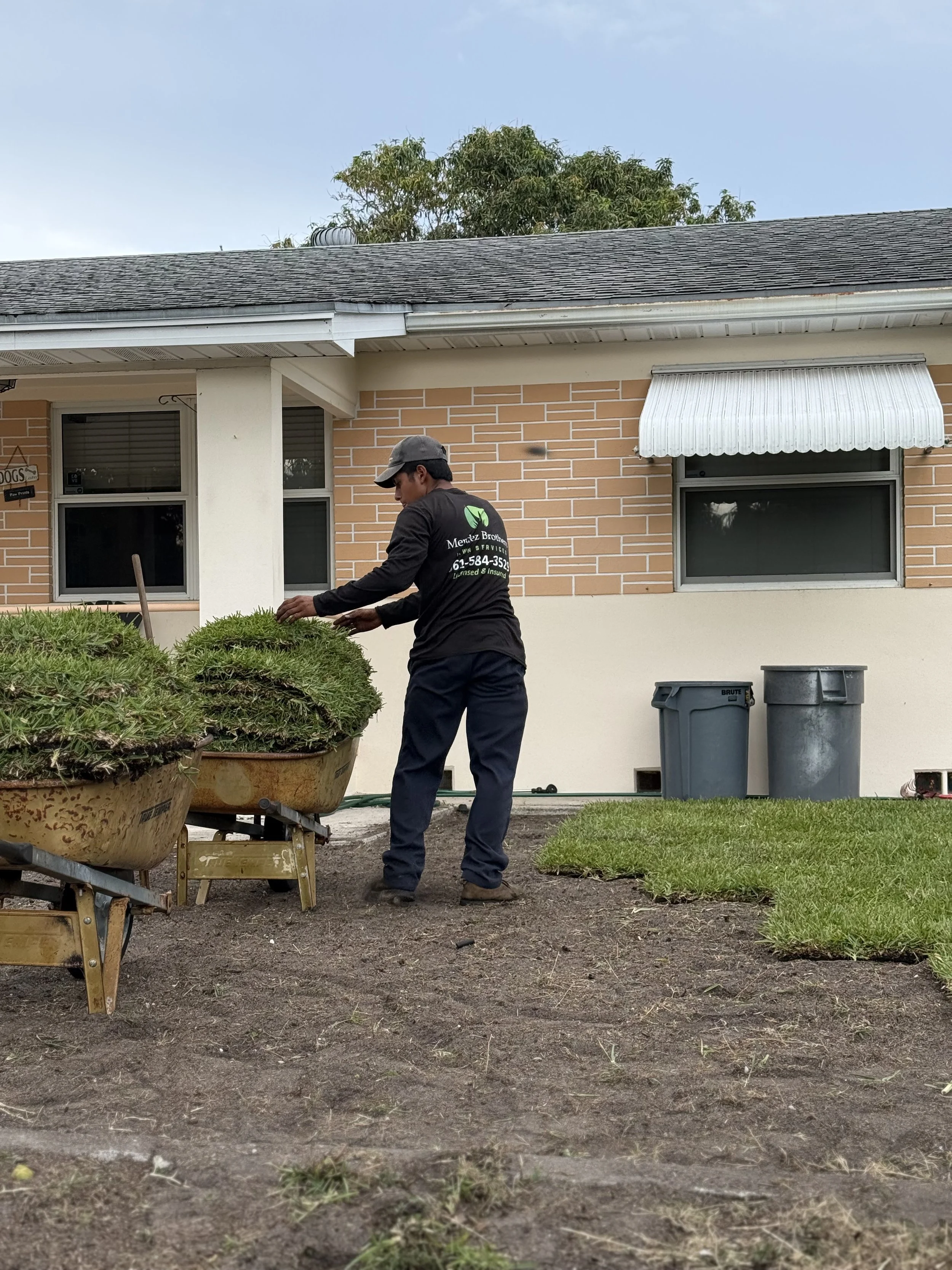 Lawn with a yellow stand-on lawn mower, surrounded by a paved walkway, shrubbery, a house with a yellow exterior, palm trees, and clear blue sky.