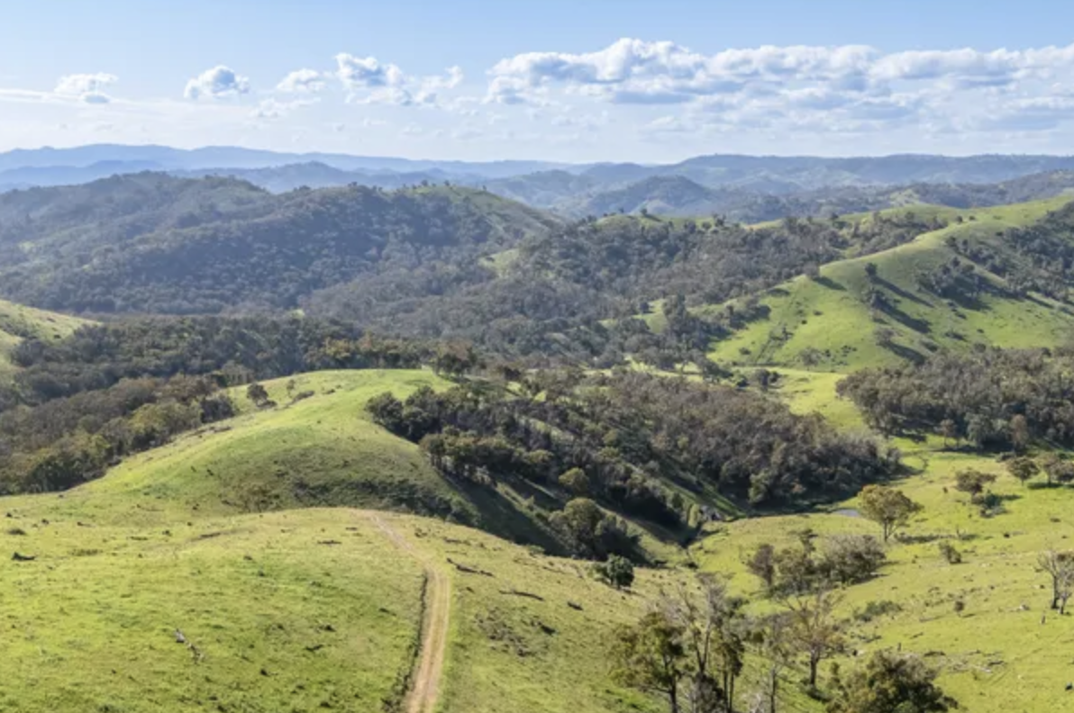 Lot 4: The Outlook