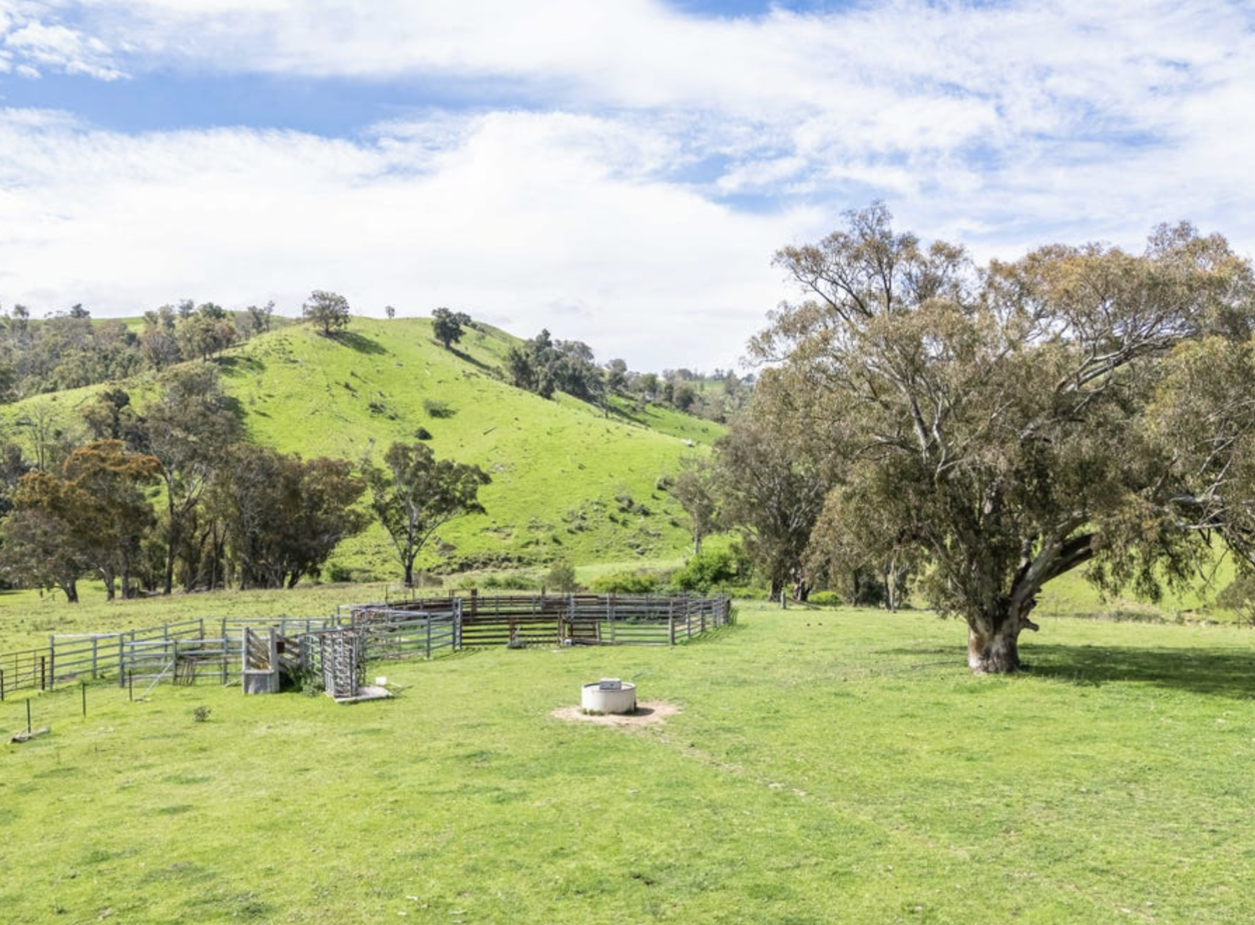 Lot 2: The Pastures