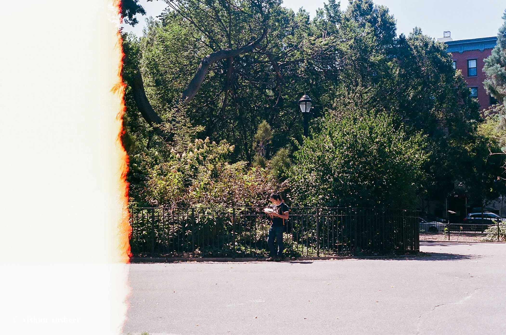 nyc-1.jpg