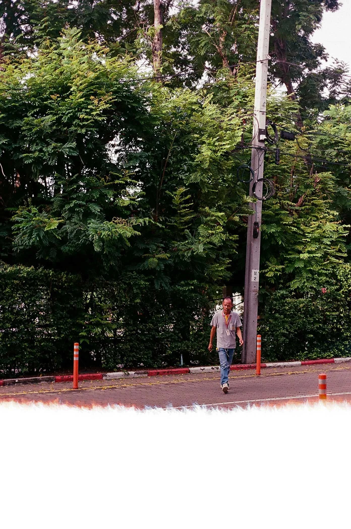 th-115.jpg