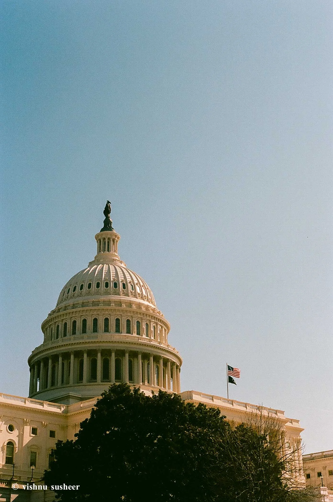 dc 2024-1.jpg