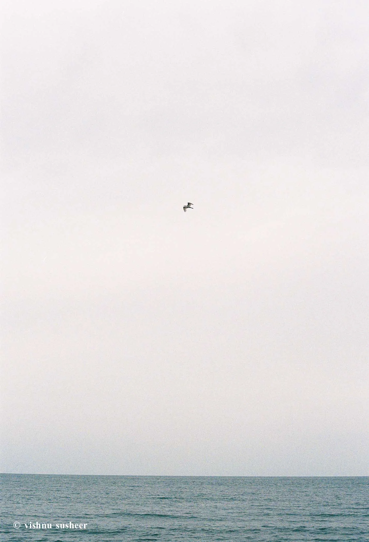 th 24-34.jpg