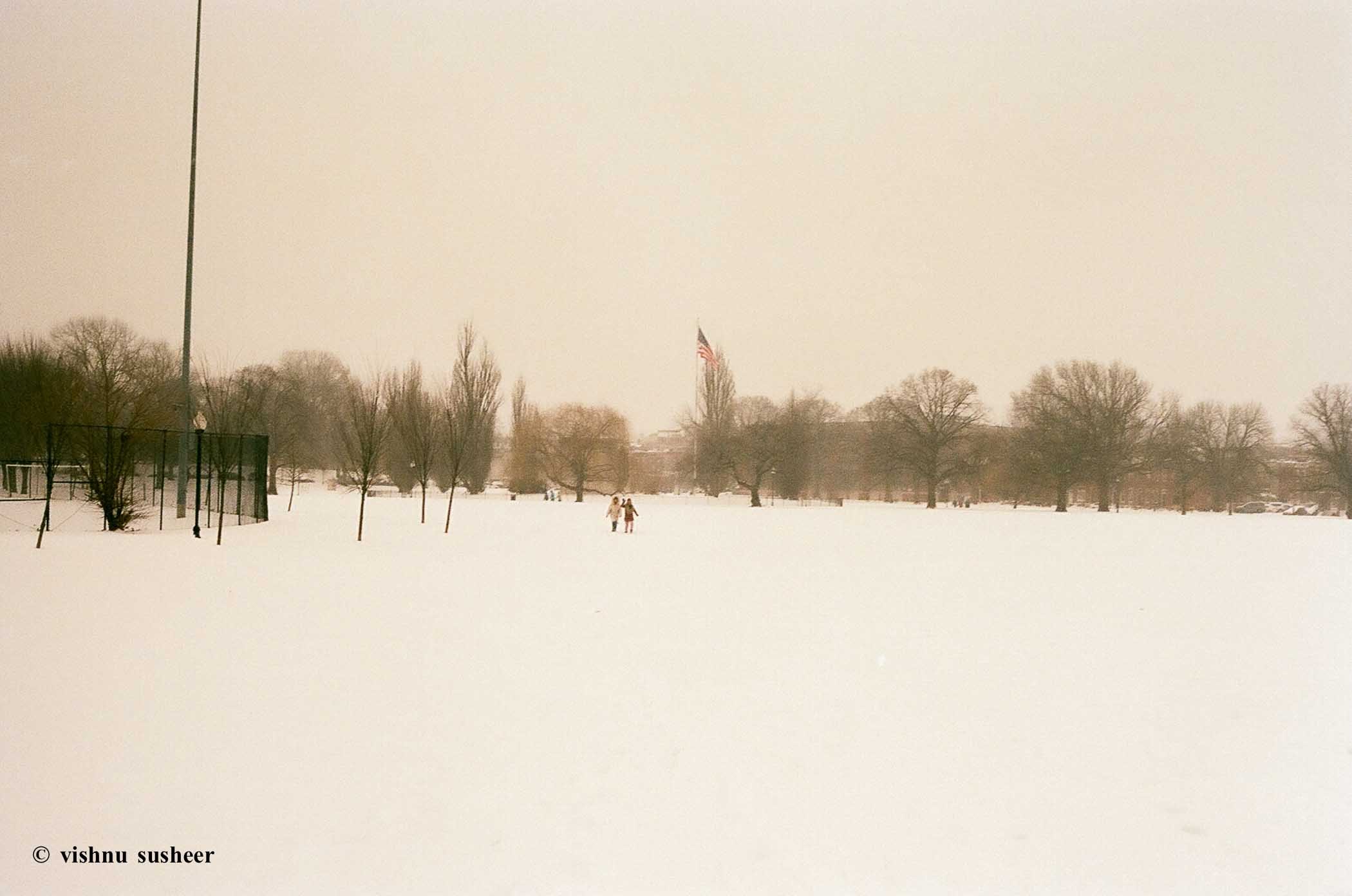 snow your neighbour