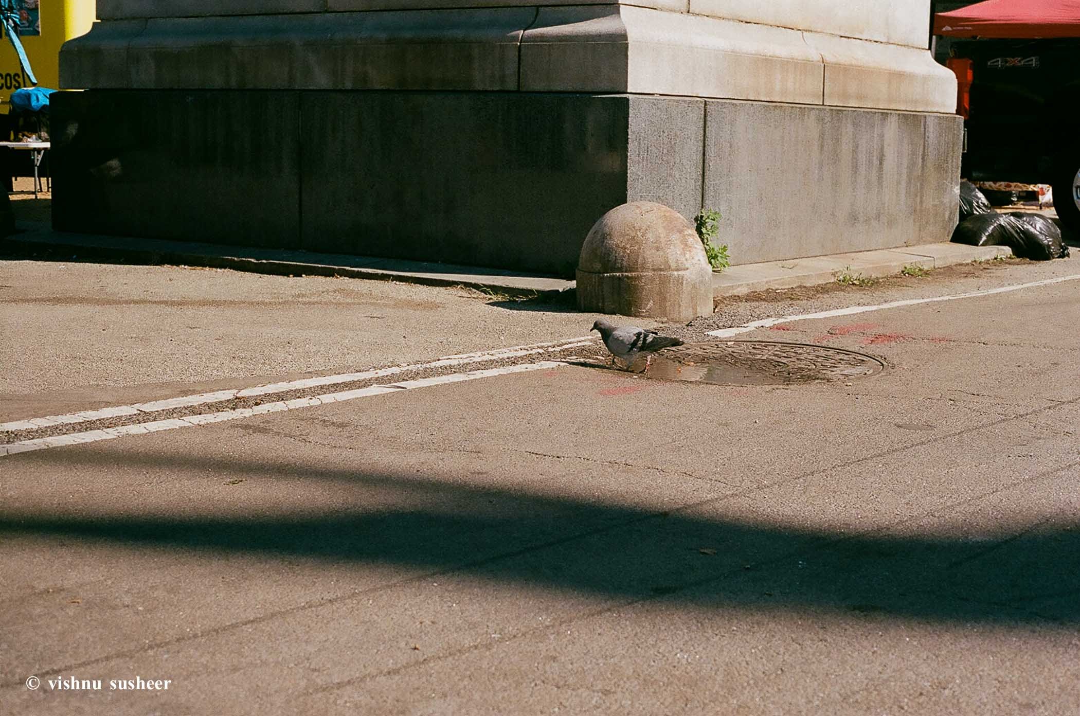 nyc-17.jpg