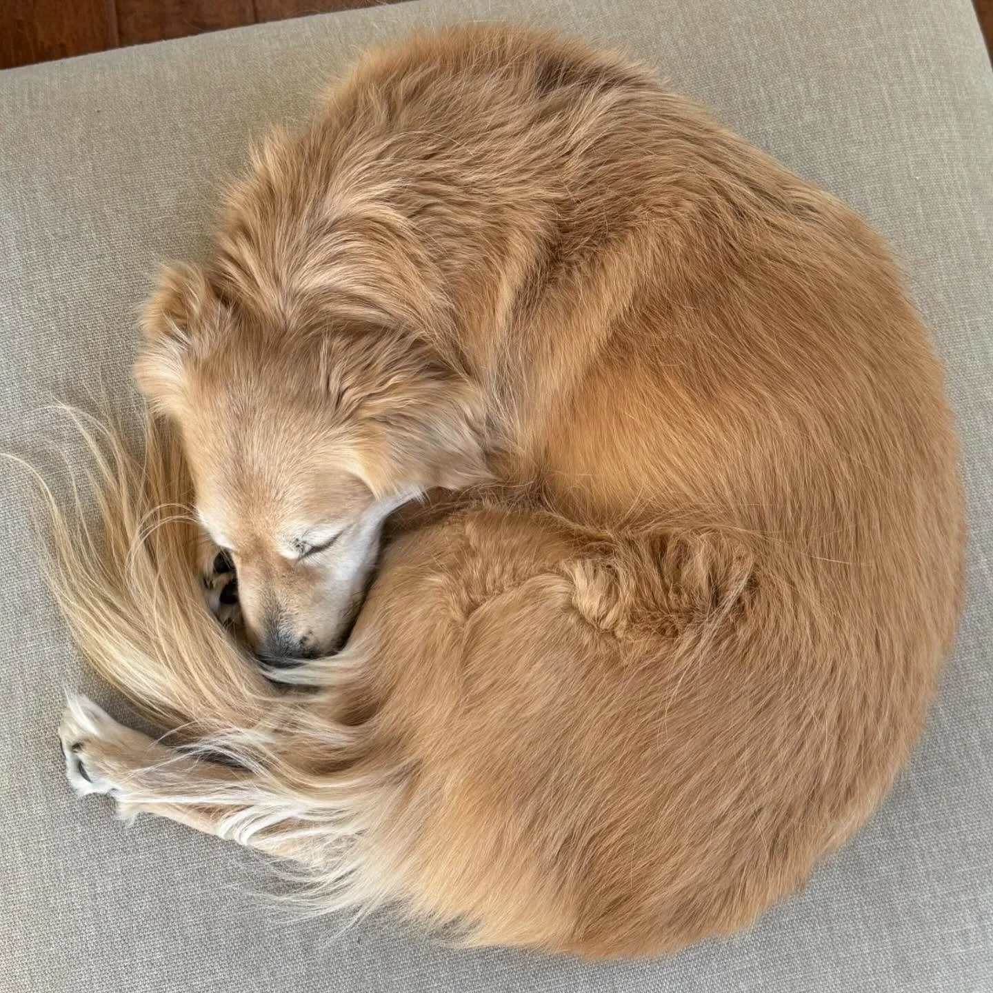 I have been a little quiet on here as we&rsquo;ve been making some big, exciting changes over the last few months - Zach &amp; I have moved up to North Cowichan! I made the difficult decision to leave my clinics in Victoria ahead of the move, I miss 