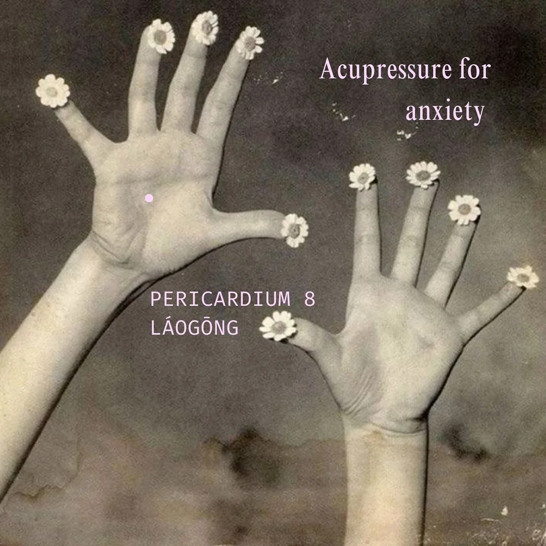 One of my favourite points for anxiety is Lao Gong, the 8th and final point on the Pericardium channel. The Pericardium in TCM is known as the Heart&rsquo;s protector - while the Heart houses our heart-mind or consciousness (Shen). I love working wit