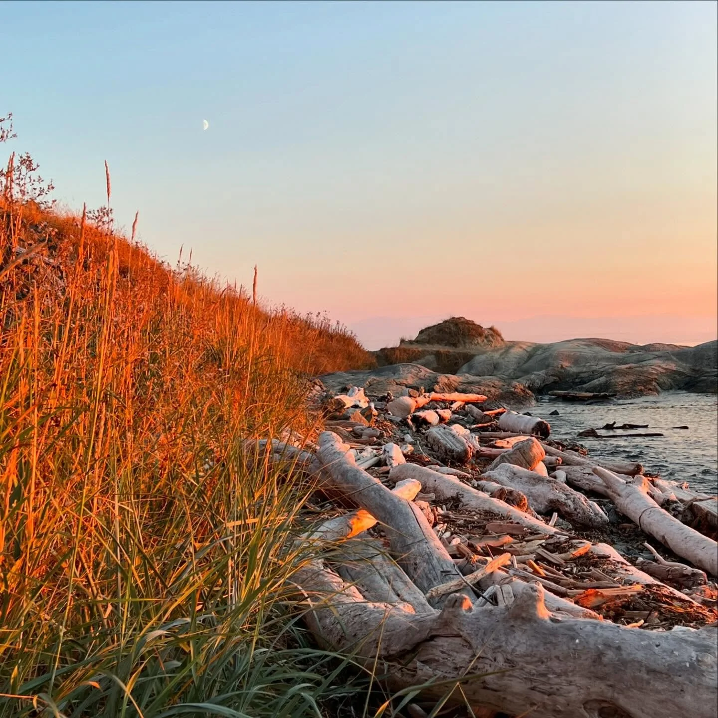 Autumn Equinox 🌓 Traditional Chinese Medicine acknowledges that seasonal changes affect us, and we&rsquo;re encouraged to shift our habits and practices with the seasons to optimize our health and prevent illness. The best ways to support ourselves 