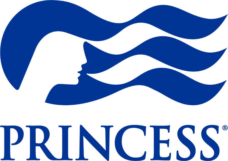 A logo featuring a silhouette of a woman's face with flowing hair, alongside the word 'PRINCESS' underneath.